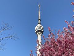 -龟山风景区-龟山电视塔