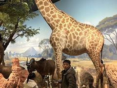 -陕西自然博物馆