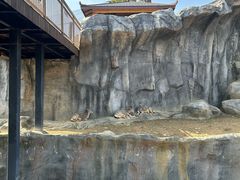 -武汉动物园