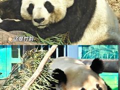-苏州太湖国家湿地公园