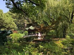 -申粤轩酒楼·三十年粤菜经典(丁香花园店)