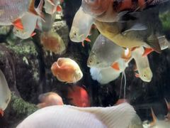 -太平洋海底世界