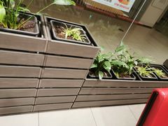 -汉堡王(财富广场店)