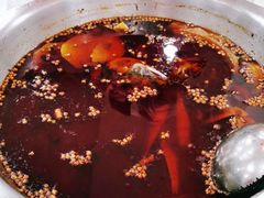 -大味美蛙鱼头(遂宁总店)