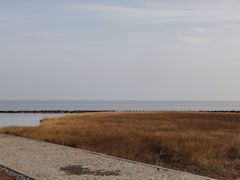 -南汇嘴观海公园