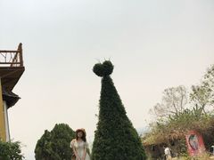 -黄色小屋