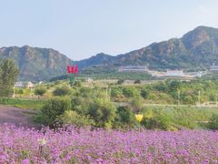 -密云玫瑰情园