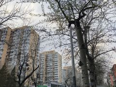 -南门四季铜锅涮肉(左家庄店)