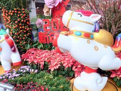 -越秀西湖花市(广州城市广场花卉店)