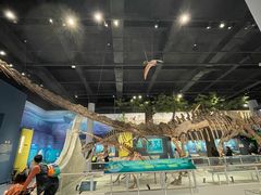 -国家自然博物馆