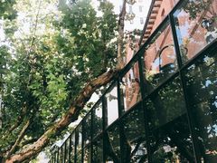 -Ocean's Table 欧舍