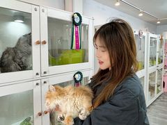 -青奢宠物·青奢猫舍