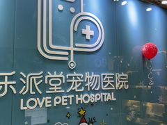 -乐派堂宠物医院·猫友好· 心脏科(东街店)