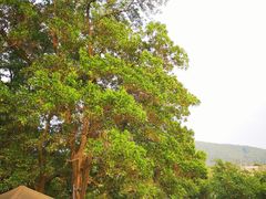 -顺风山庄(水濂山店)