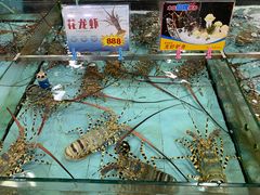 -渔民新村(番禺总店)