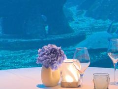 -亚特兰蒂斯•OSSIANO奥西亚诺海底餐厅