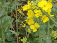 -白鹭湾湿地公园