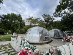 -南丹山森林王国