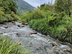 -海南热带雨林国家公园吊罗山景区