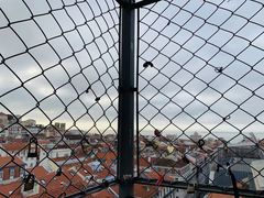 -圣胡斯塔升降机