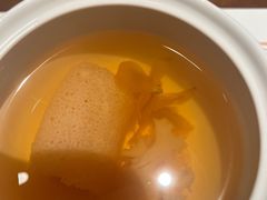 -觀芷隐轩