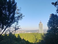 -原山国家森林公园