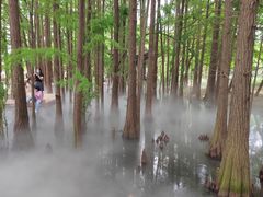 -东湖落雁景区