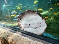 -珠海长隆海洋王国