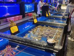 水产区-万宝海鲜舫(劳动公园店)