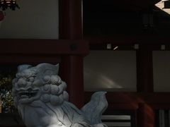 -来宫神社