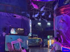 -烟台海昌鲸鲨海洋公园