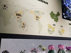 -四川大学博物馆