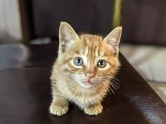 -北大街红丽涮牛肚火锅店