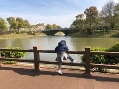 -上海海湾国家森林公园