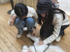 -咖法森林·咖啡  酒吧(天河店)