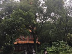 -房湖公园