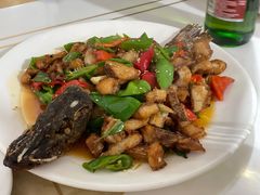-煲来饱去冷水鱼