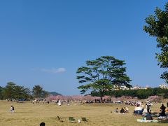 -风云岭森林公园