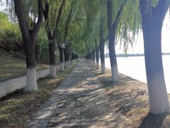 -青龙湖公园