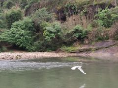 -九曲溪竹筏码头