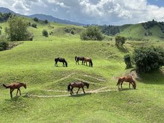-新疆那拉提国家旅游度假区