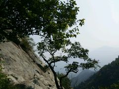 -北京鹫峰国家森林公园