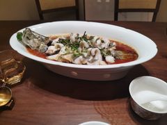 鲜花椒蒸桂花鱼-觅唐MITONG(鸟巢店)