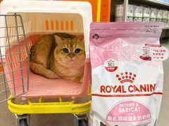 -帕帕拉兹宠物(亚洲旗舰店)