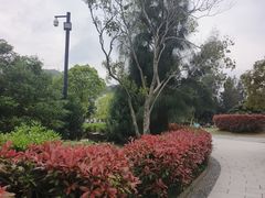 -乌石塘景区