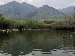 -西安秦岭野生动物园