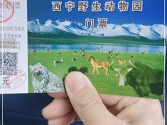 -青藏高原野生动物园