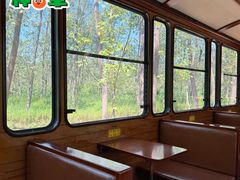 -合肥滨湖国家森林公园