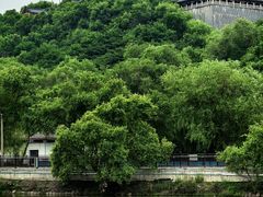 -北山公园