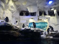 -华夏文旅海洋公园